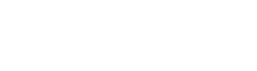 FluxoBruto Logo